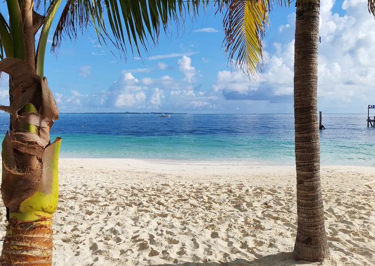 Lo mejor del año empieza en Maya Caribe Hotel Maya Caribe Faranda Cancún Lo mejor del año empieza en Maya Caribe Hotel Maya Caribe Faranda Cancún