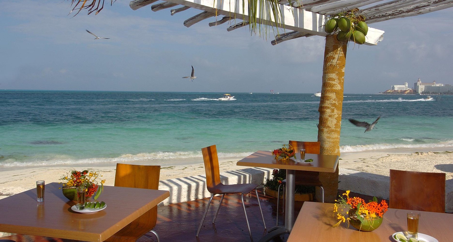 Días de tranquilidad en el  caribe mexicano  Hotel Faranda Maya Caribe Cancún